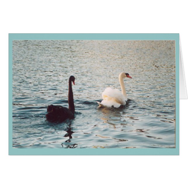 Svarta och vita på Rideau Hälsningskort (Framsidan Horizontal)