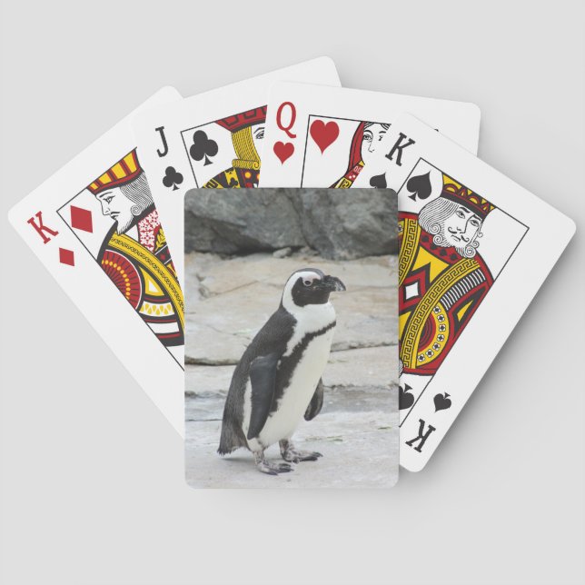 Svarta och vita Penguin på Sten Casinokort (Baksidan)