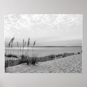 Svarta och vita Pensacola Beach Poster