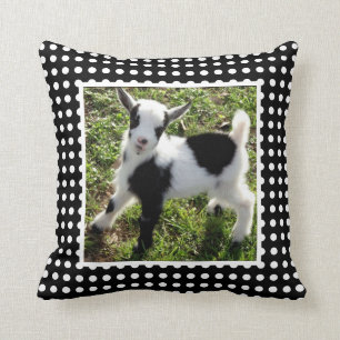Svarta och vita polka Dot Nigerian Dwarf Goat Kid Kudde
