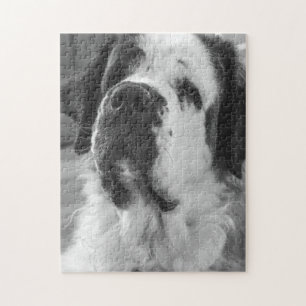 Svarta och vita Saint Bernard-hund Pussel