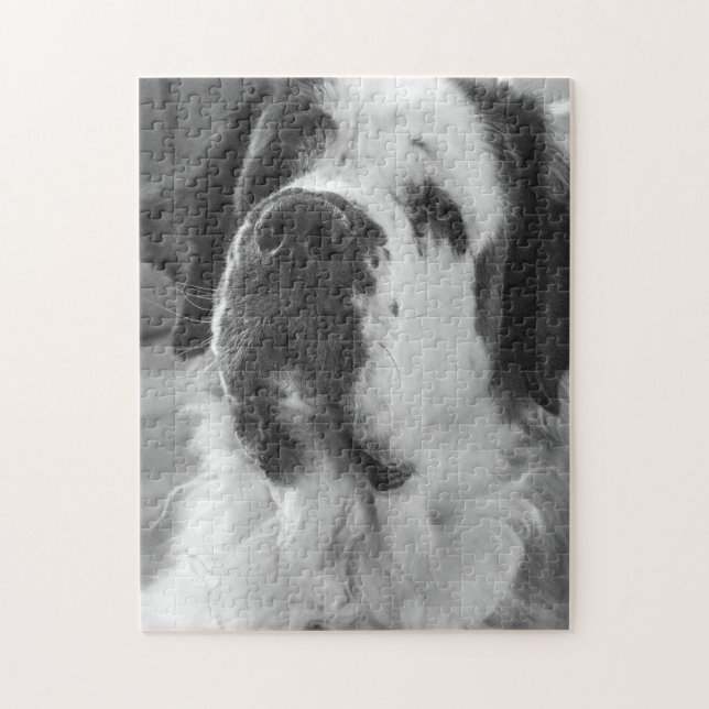 Svarta och vita Saint Bernard-hund Pussel (Vertikal)