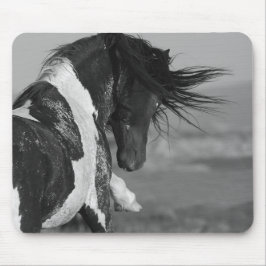 Svarta och vita Strejkor Vild Horse Mousepad Musmatta