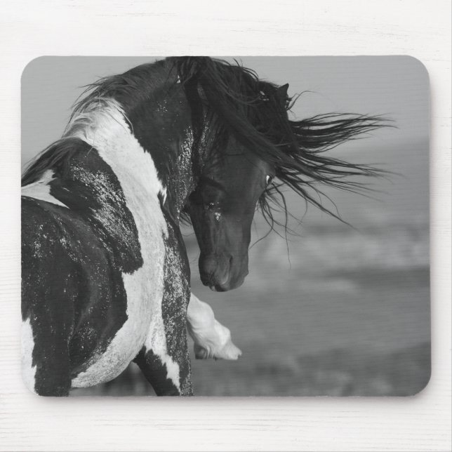 Svarta och vita Strejkor Vild Horse Mousepad Musmatta (Framsidan)