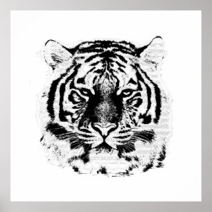 Svarta och vita tigern Ansikte Poster