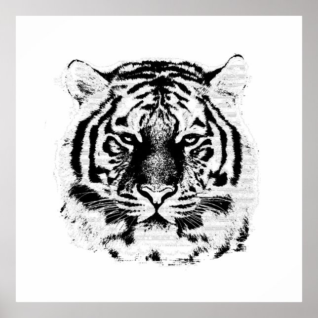 Svarta och vita tigern Ansikte Poster (Framsidan)