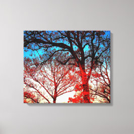 Svarta och vita träd på vinterfoto canvastryck