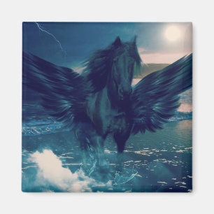 Svarta pegasus från havet magnet