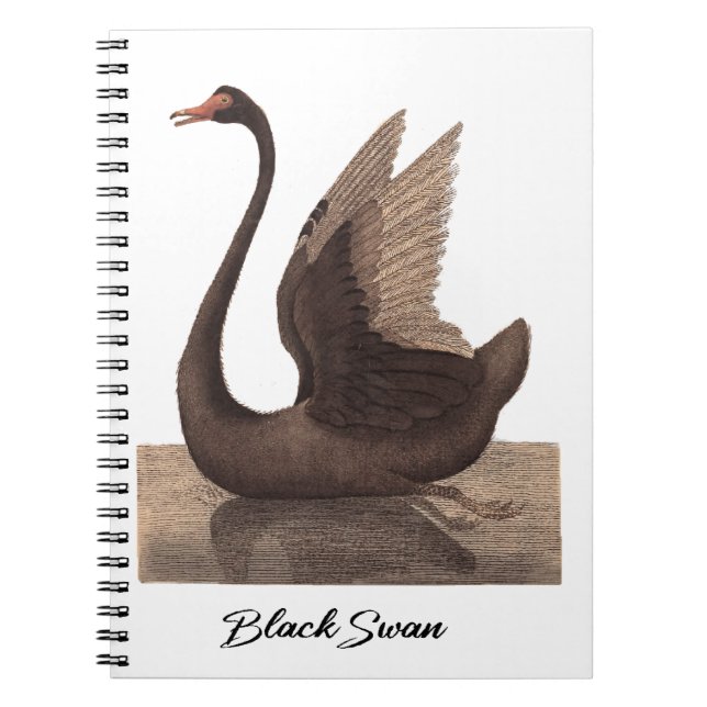 Svarta Svan 1792 Anteckningsbok (Framsidan)