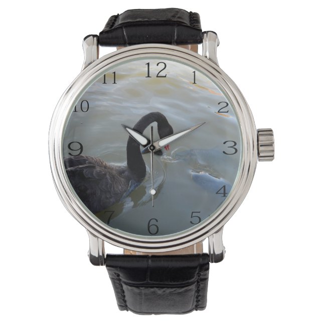 Svarta Svan som fiskar efter stormfisk i floden. Armbandsur (Framsida)