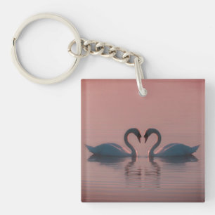 Svarta Svanar måste vara Kärlek Rosa Himlar