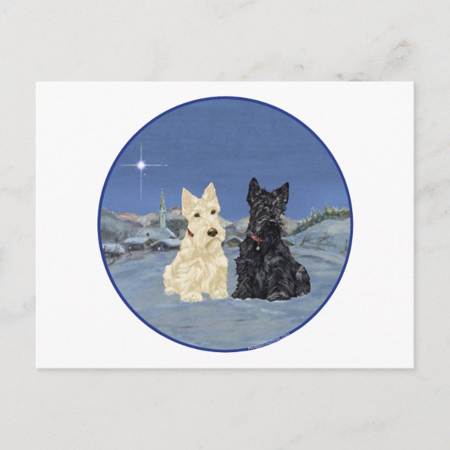 Svarta & vete Scottish Terriers Vinter Vykort (Framsida)