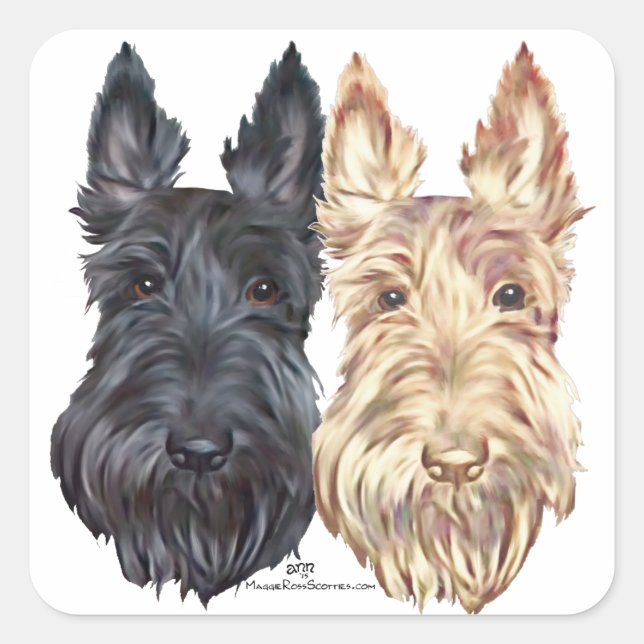 Svarta & Vete Skotska Terriers Fyrkantigt Klistermärke (Framsida)