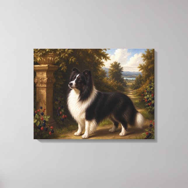 Svarta vinbär, Shetlands shetlandskojhund Canvastryck (Framsida)