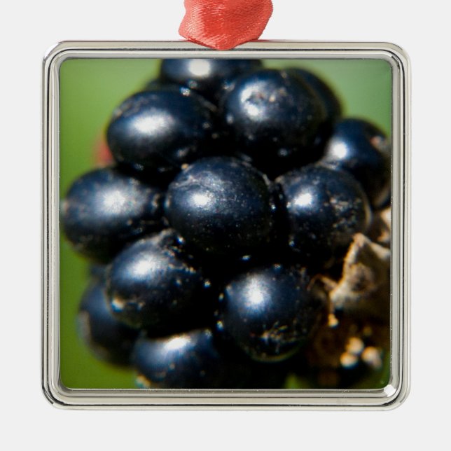 Svarta vinbär/slånbär julgransprydnad metall (Framsidan)