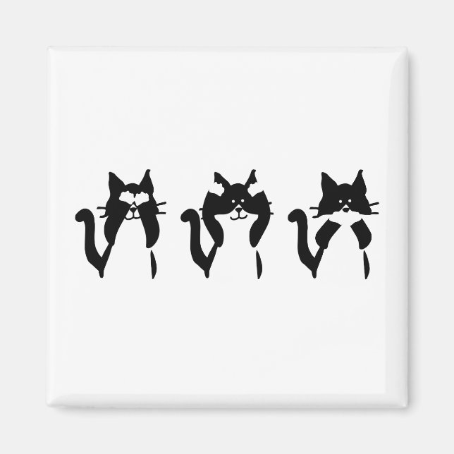 Svarta Vita Katter | Tre Visa Kattungar Magnet (Framsidan)