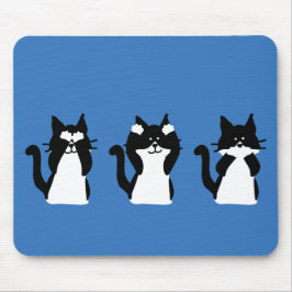 Svarta Vita Katter | Tre Visa Kattungar Musmatta