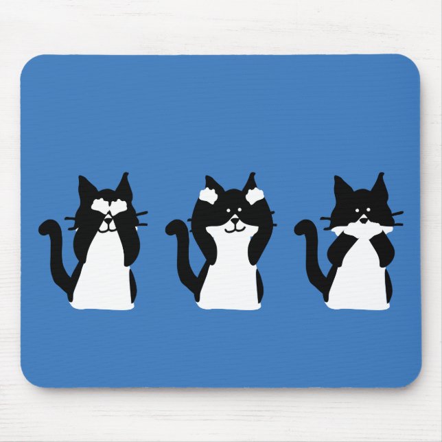 Svarta Vita Katter | Tre Visa Kattungar Musmatta (Framsidan)