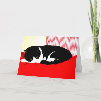 Svarta, vita och röda kort