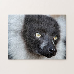 Svarta & vita ruffade Lemur, Jigszons Puzzle Pussel
