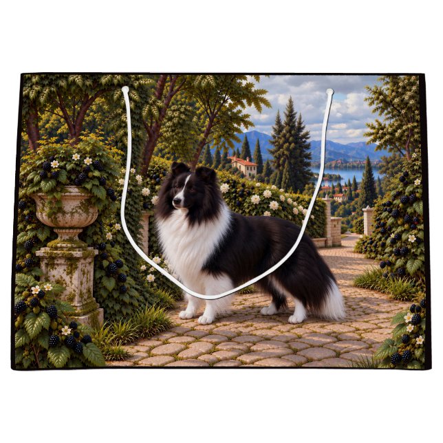 Svartbär, Shetlands sheppdog (Framsidan)