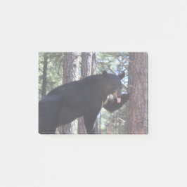 Svartbjörn Post-it Block