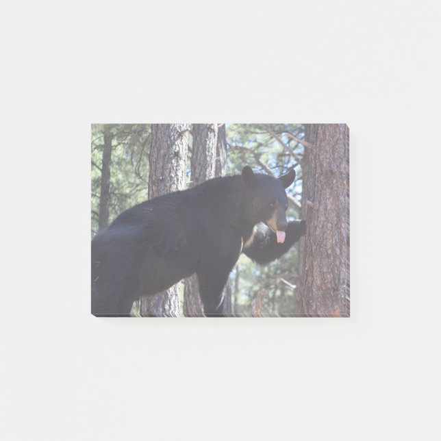 Svartbjörn Post-it Block (Framsida)