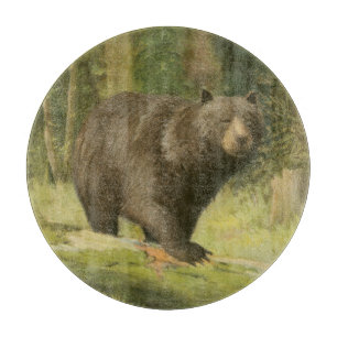 Svartbjörn Steg på en Träd-trunk