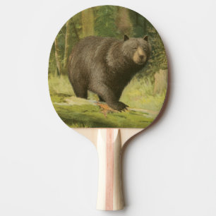 Svartbjörn Steg på en Träd-trunk Pingisracket