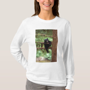 svartbjörn, Ursus americanus, unge i ett träd T Shirt