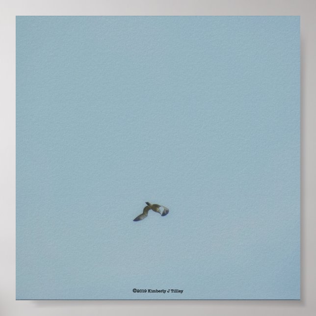 Svartbukad kittiqua poster (Framsidan)