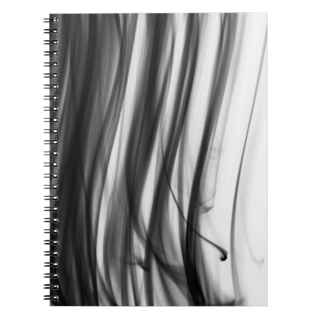 Svarten avfyrar anteckningsbok III av konstnären (Framsidan)