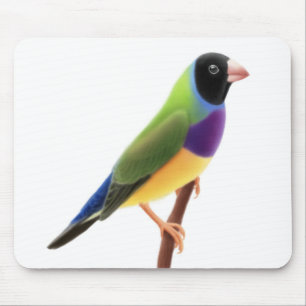 Svarten vände mot den Gouldian finchen Mousepad Musmatta