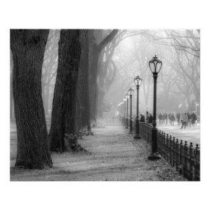 Svarten & vit landskap i Central Park Fototryck