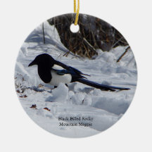 Svartfjällad Rocky Mountain Magpie-ornament