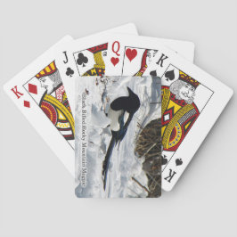 Svartfjällade Rocky Mountain Magpie-kort Casinokort