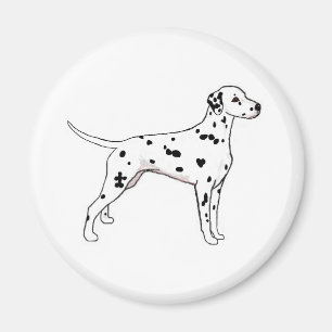 Svartfläckig Dalmatian Magnet