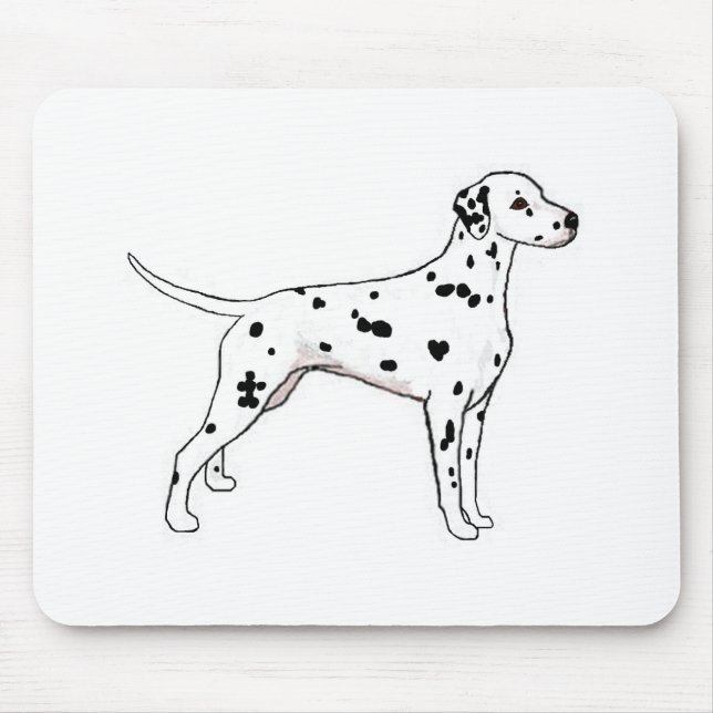 Svartfläckig Dalmatian Musmatta (Framsidan)