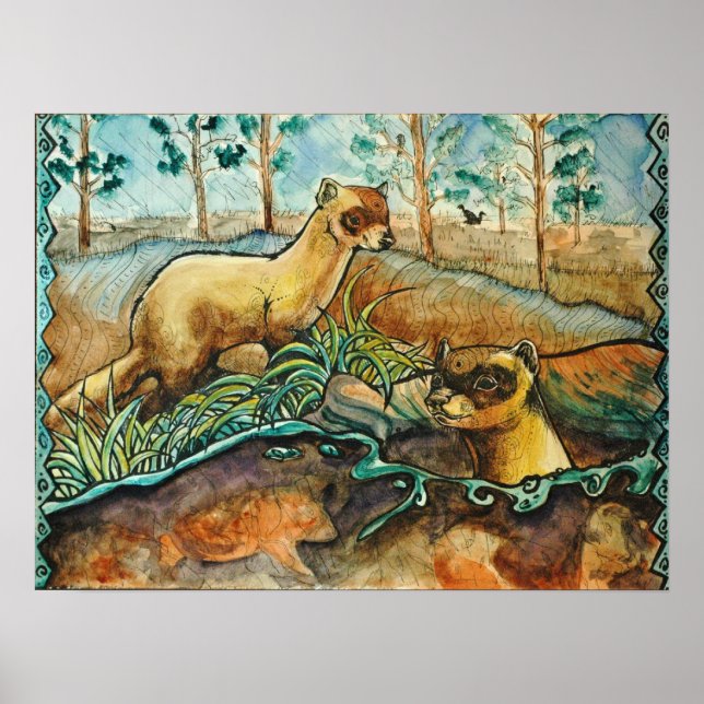 Svartfoterade illrar Poster (Framsidan)