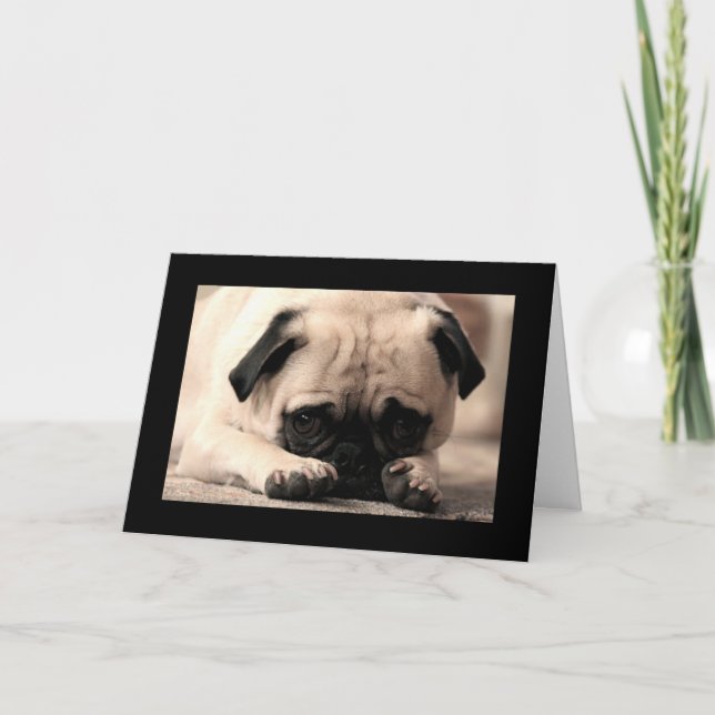 Svarthälsningskort för Grattis på födelsedagen Pug Kort (Framsida)