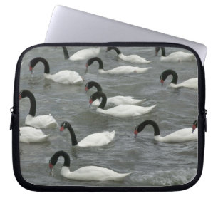 Svarthalssvanar (Cygnus melancoryphus) Laptop Fodral