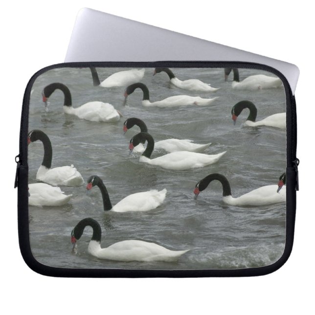 Svarthalssvanar (Cygnus melancoryphus) Laptop Fodral (Framsidan)