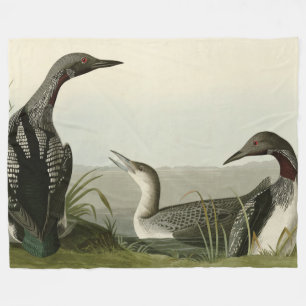 Svarthaltiga diver Loon Audubon Birds of America Fleecefilt