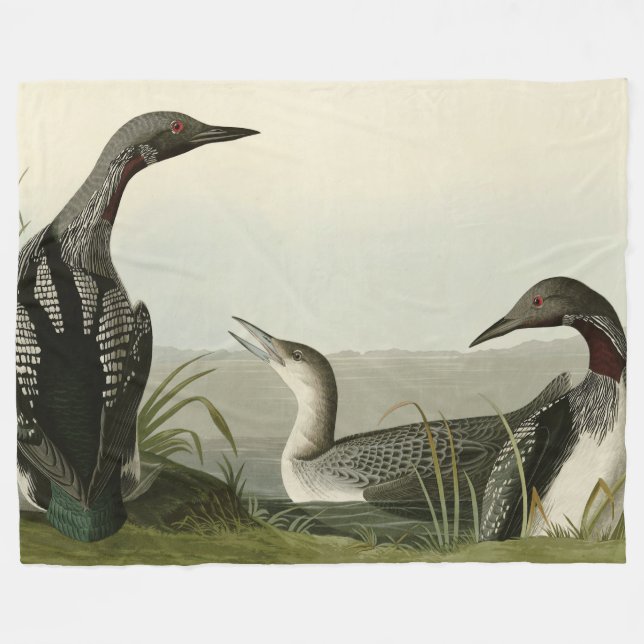 Svarthaltiga diver Loon Audubon Birds of America Fleecefilt (Framsidan (Horisontell))