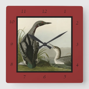 Svarthaltiga diver Loon Audubon Birds of America Fyrkantig Klocka