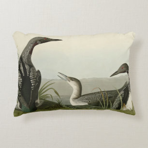 Svarthaltiga diver Loon Audubon Birds of America Prydnadskudde