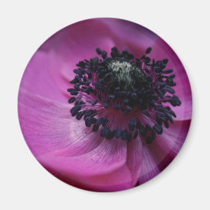 Svarthjärtat Anemone Round Magnet