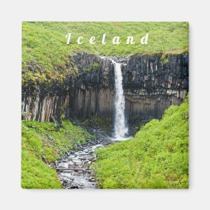 Svartifoss vattenfall i Skaftafell - Island Magnet