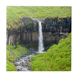 Svartifoss Waterfall i Skaftafell - Island Kakelplatta