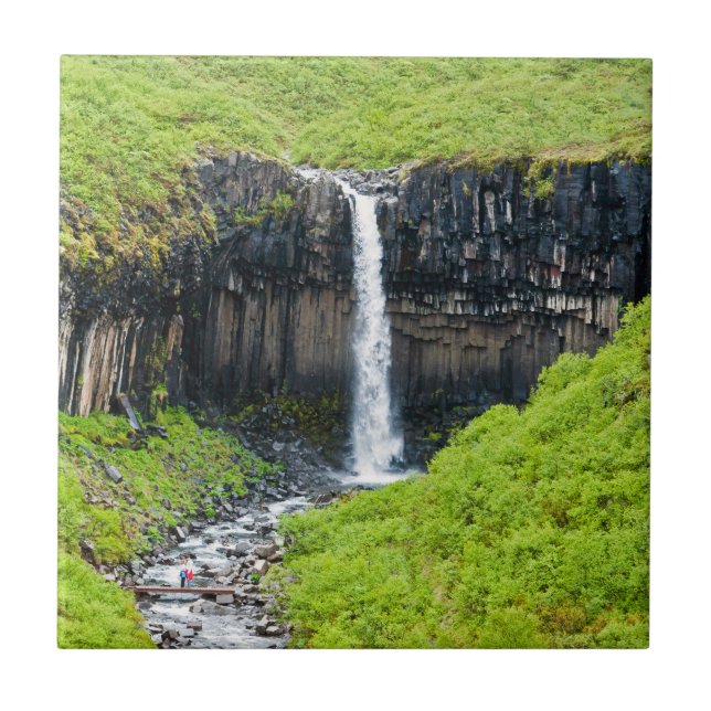 Svartifoss Waterfall i Skaftafell - Island Kakelplatta (Framsidan)